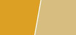 实色油性色浆-内用深黄